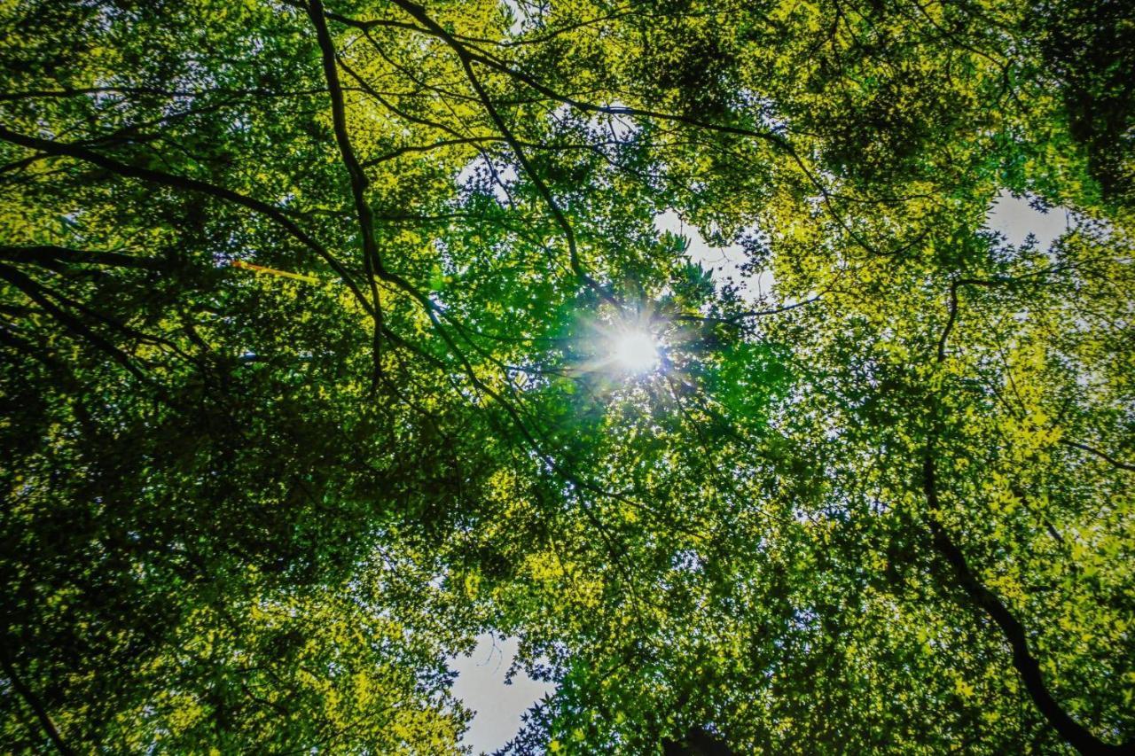Lichtermeer 2 ダーメ エクステリア 写真